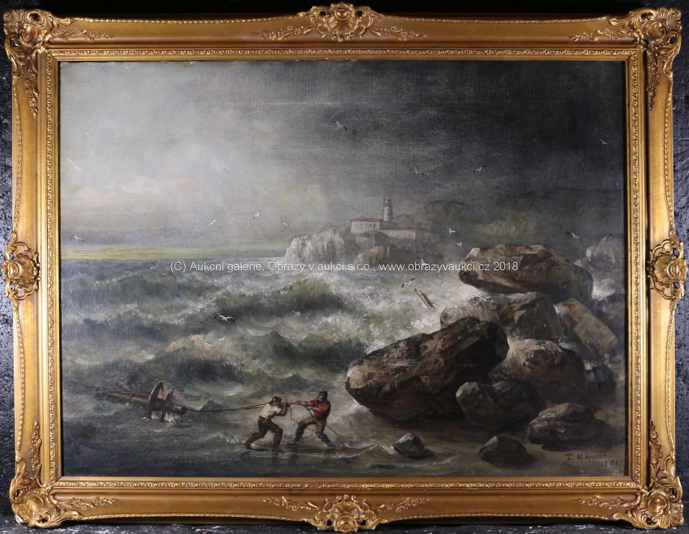 Theodor Köppen - Mořská bouře
