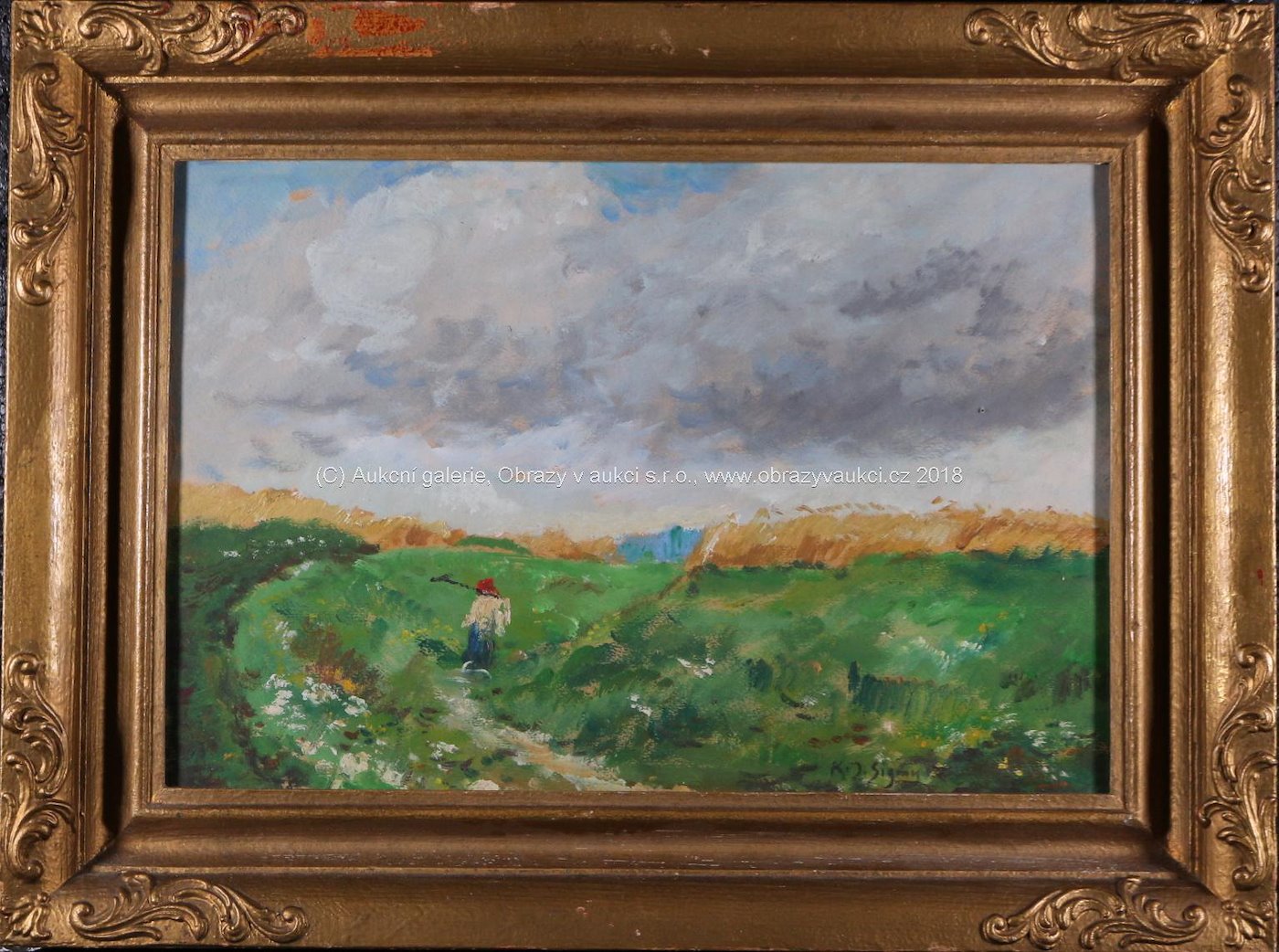 Karel Jan Sigmund - Cestou v polích