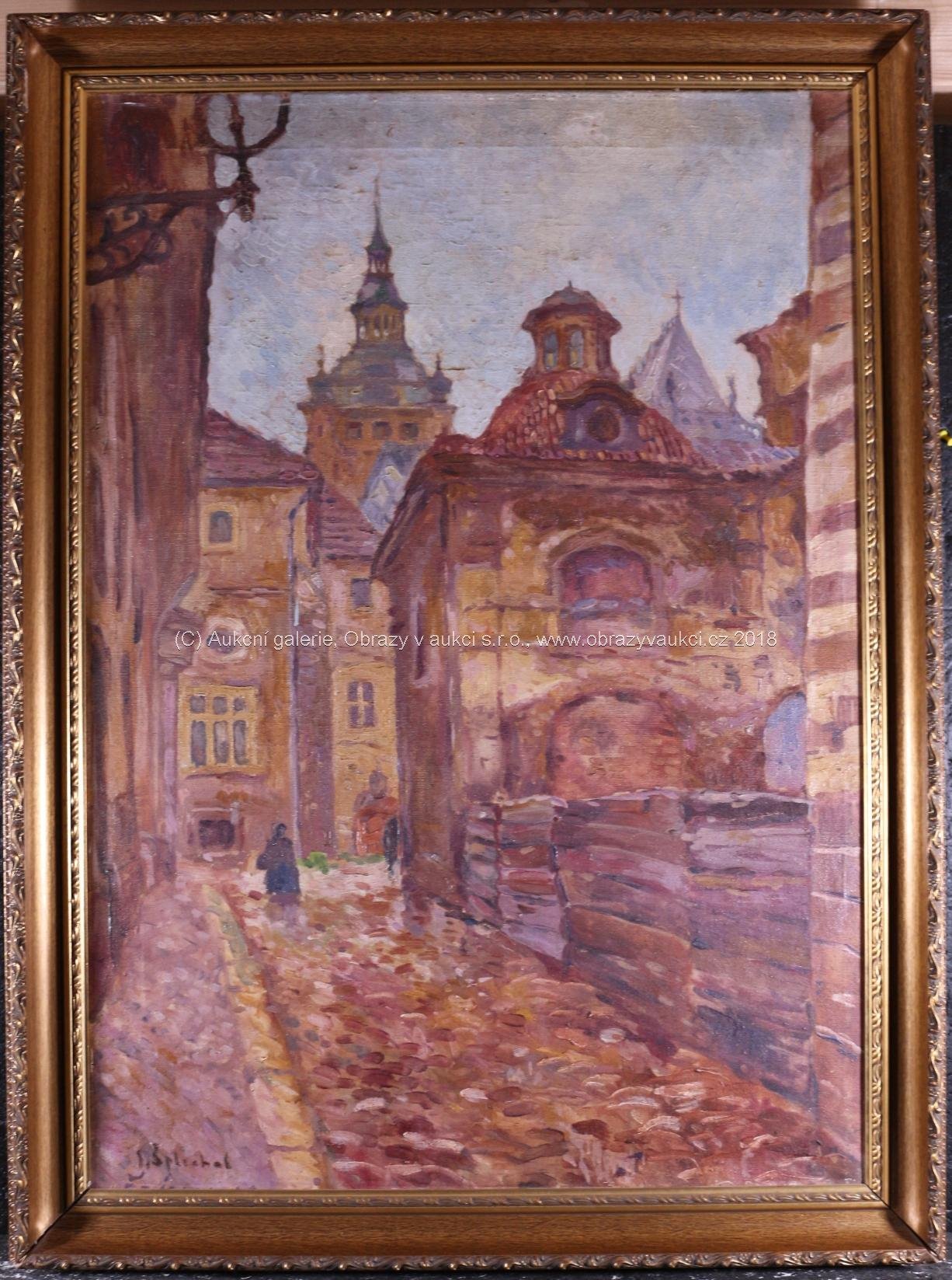Jan Šplíchal - Na Pražském hradě
