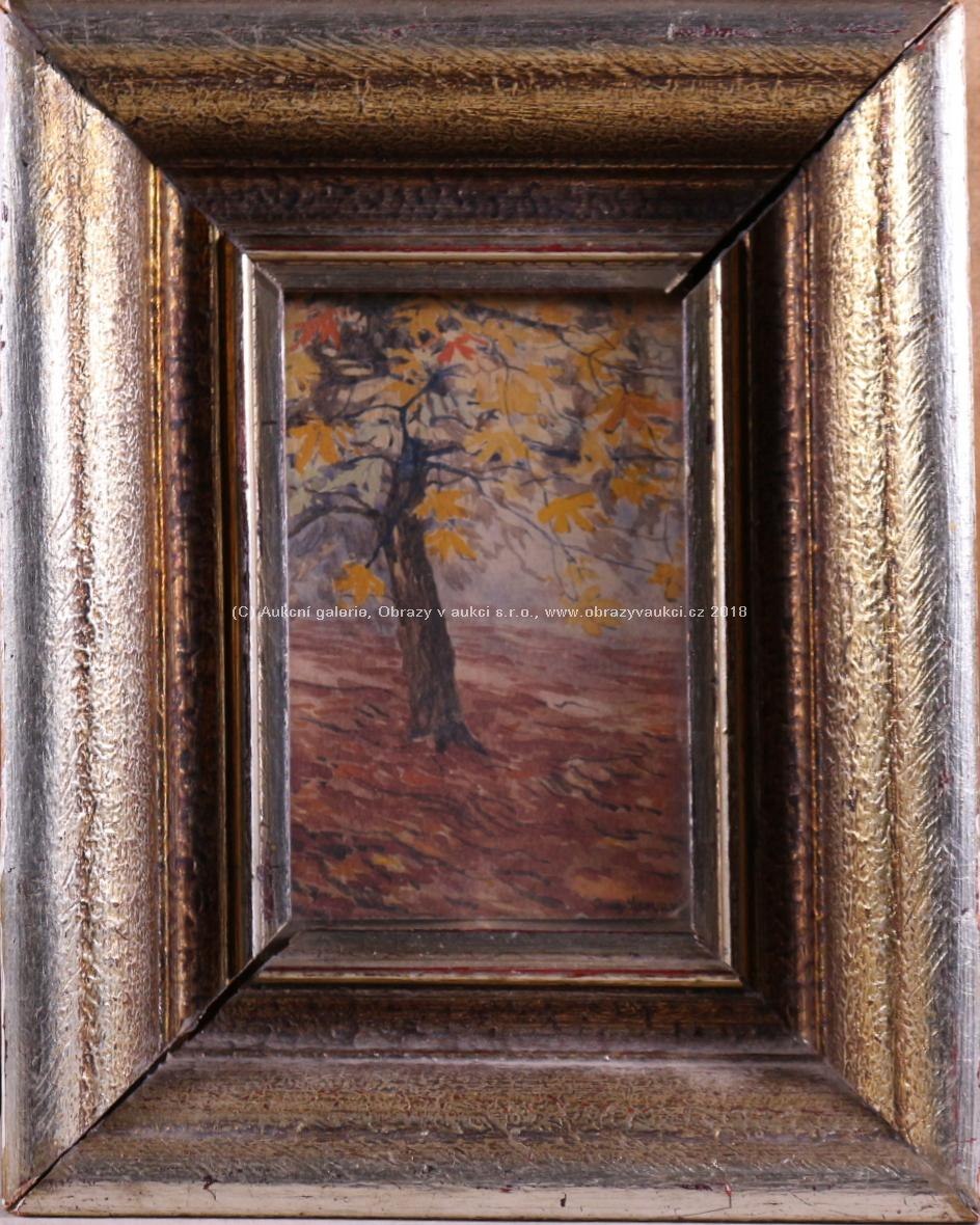 Augustin Mervart - Osamělý strom