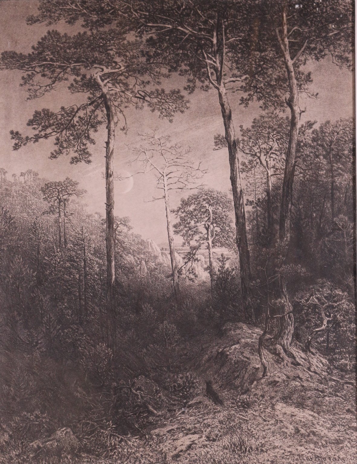 Julius Mařák - V houští lesa