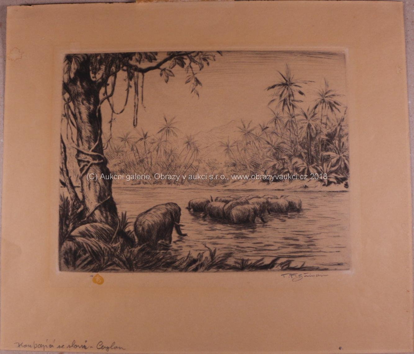 Šimon František Tavík - Ceylon - koupající se sloni