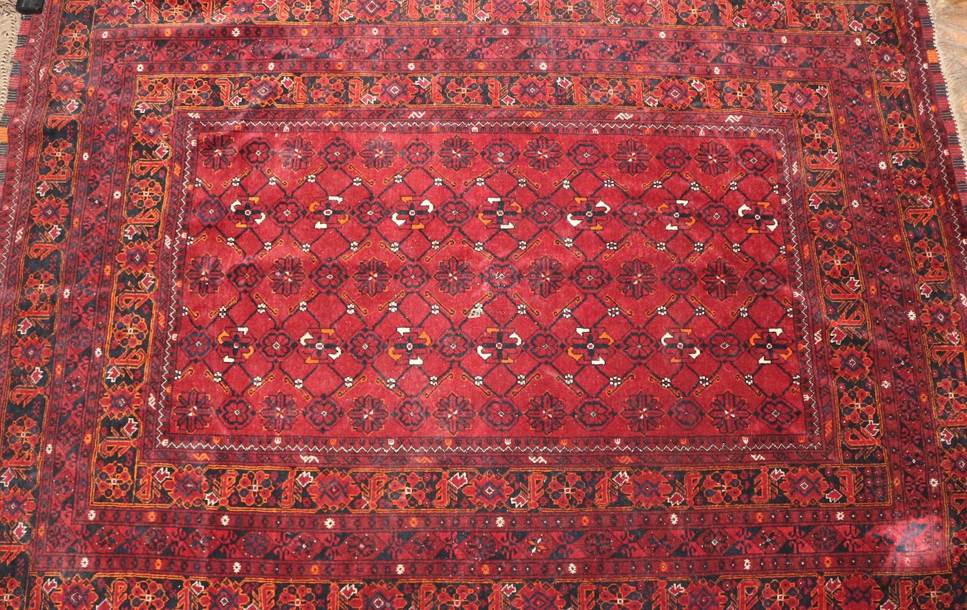 Východní Afganistán nebo záp. Pakystán, 2. pol. 20. stol. - Afgánský koberec se vzorem Mina-Chani