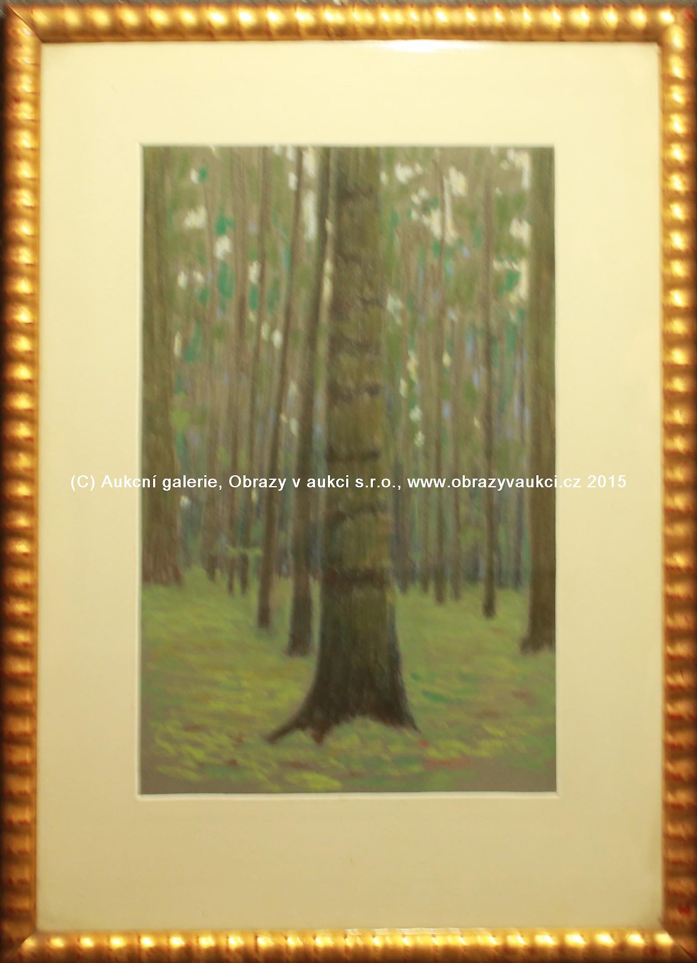 český malíř po roce 1900 - Lesní interiér