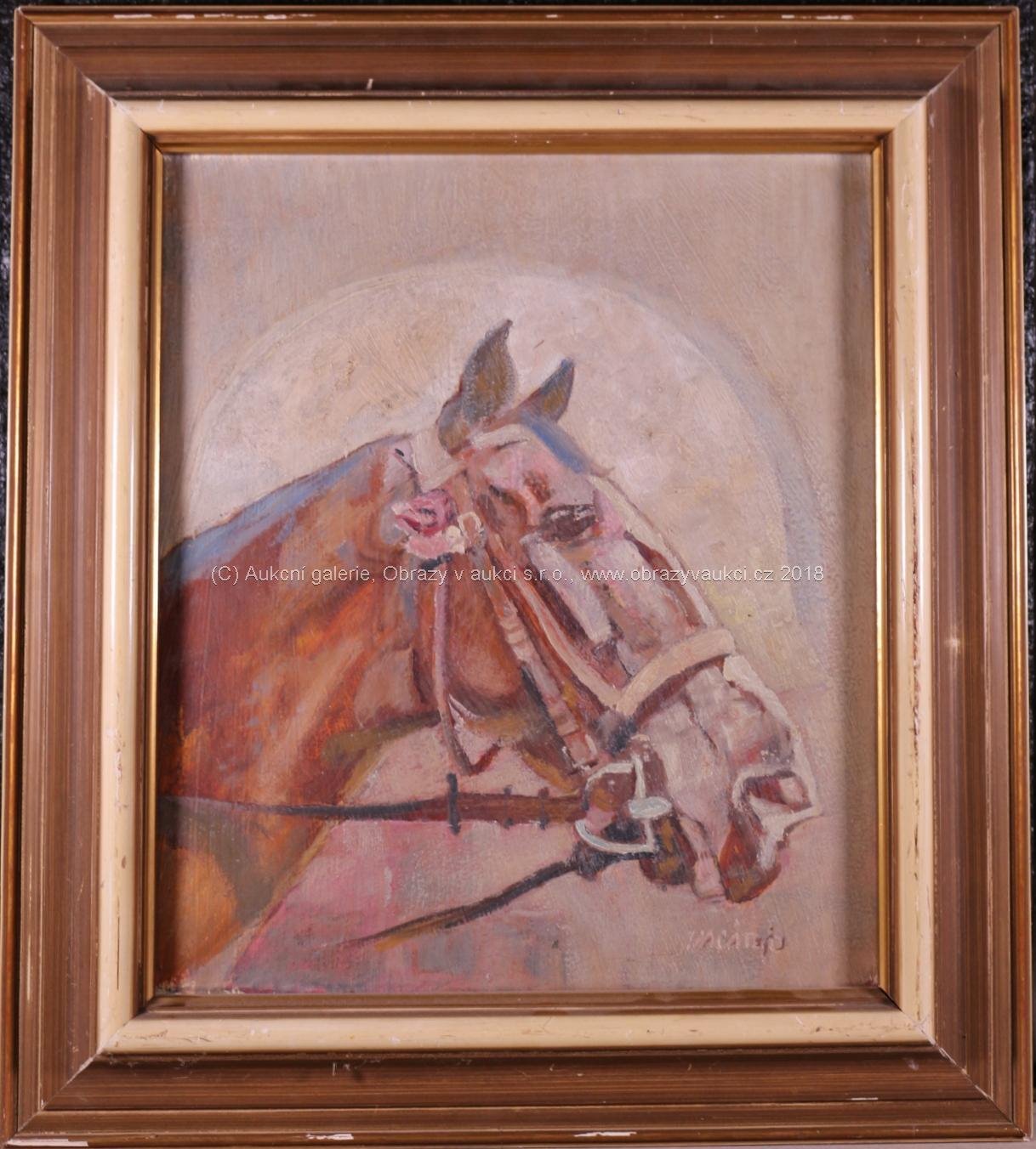 Ludvík Vacátko - Kůň