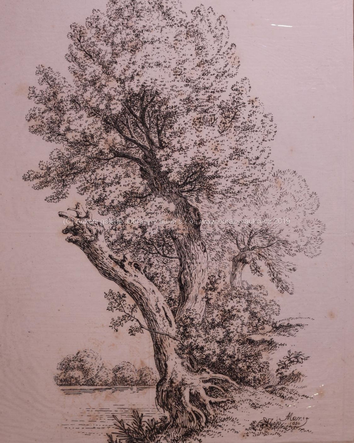 Antonín Mánes - Studie stromů