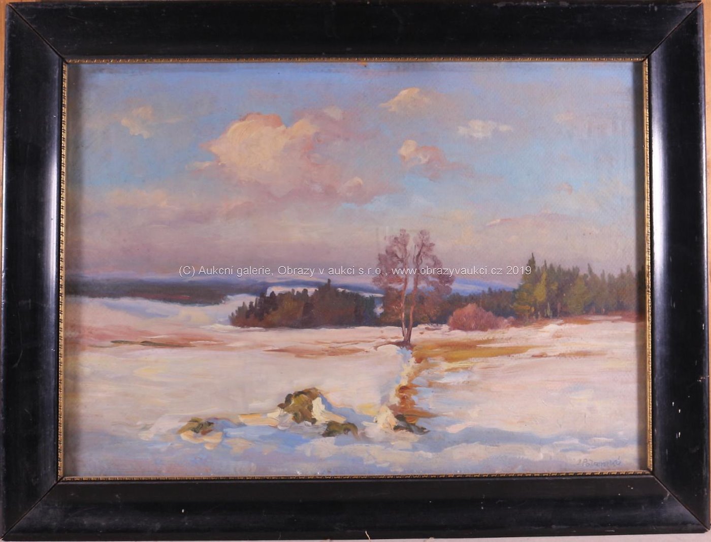 Jaroslav Polanský - V zimě