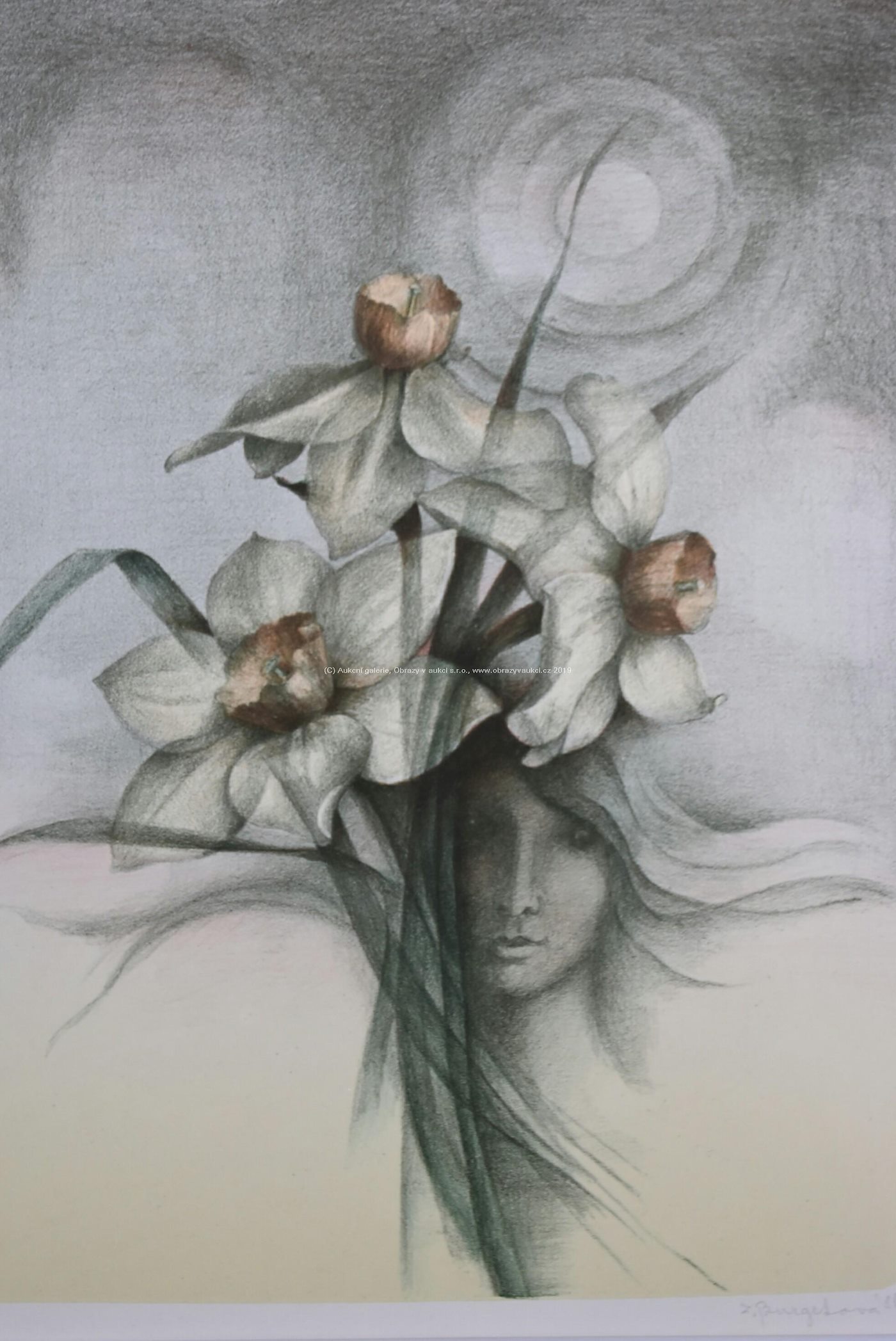 Zdena Burgetová - Soubor 2 litografií - Orchidej a Narcisy