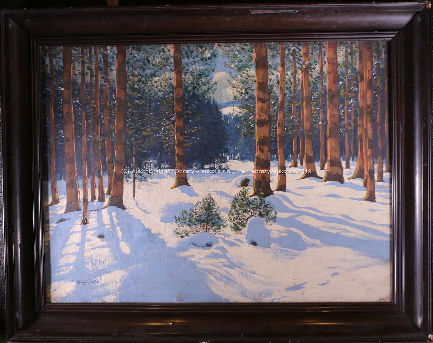 Victor Olgyai - Zimní les