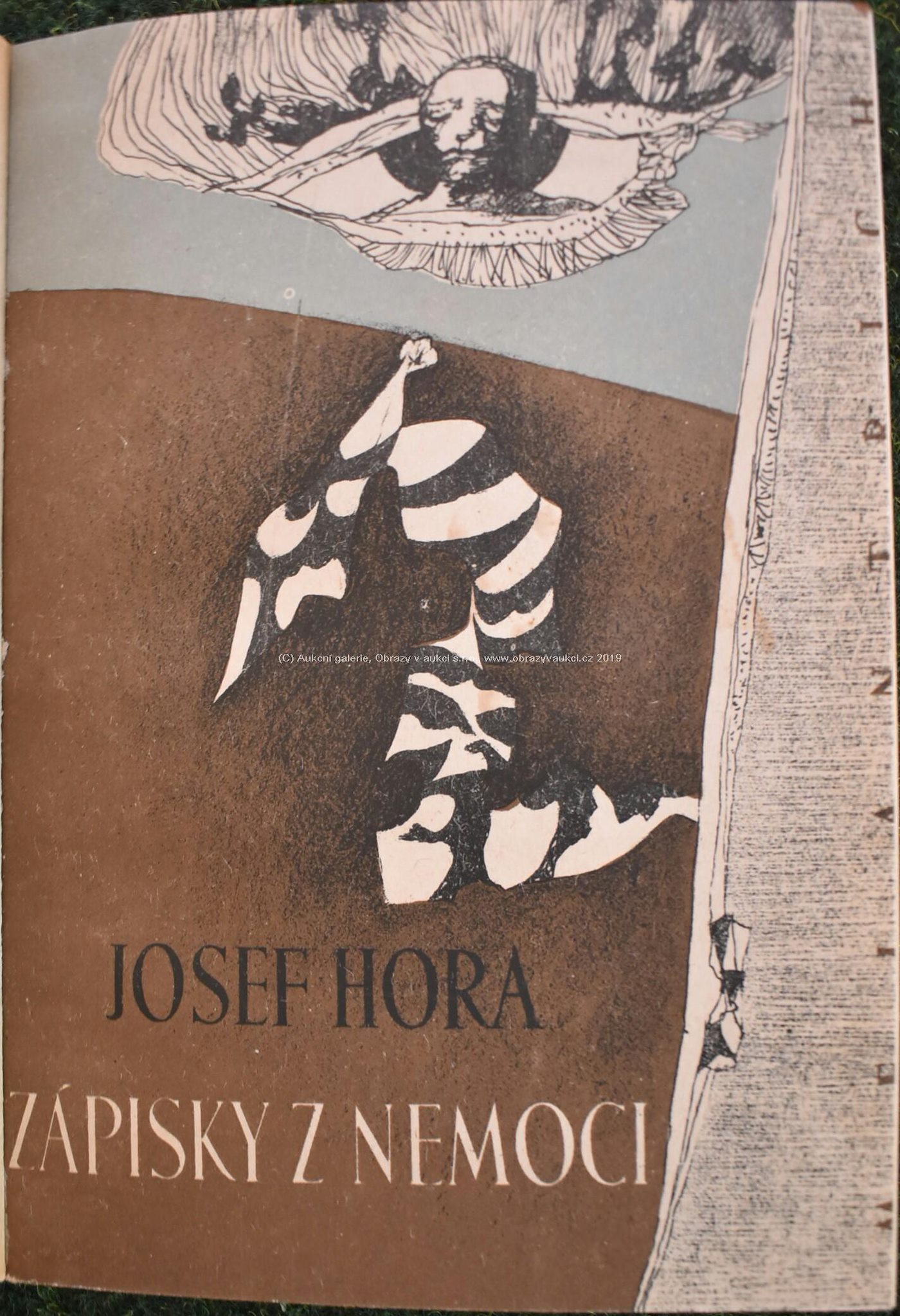 Josef Hora, ilustrace Josef Liesler - Zápisky z nemoci