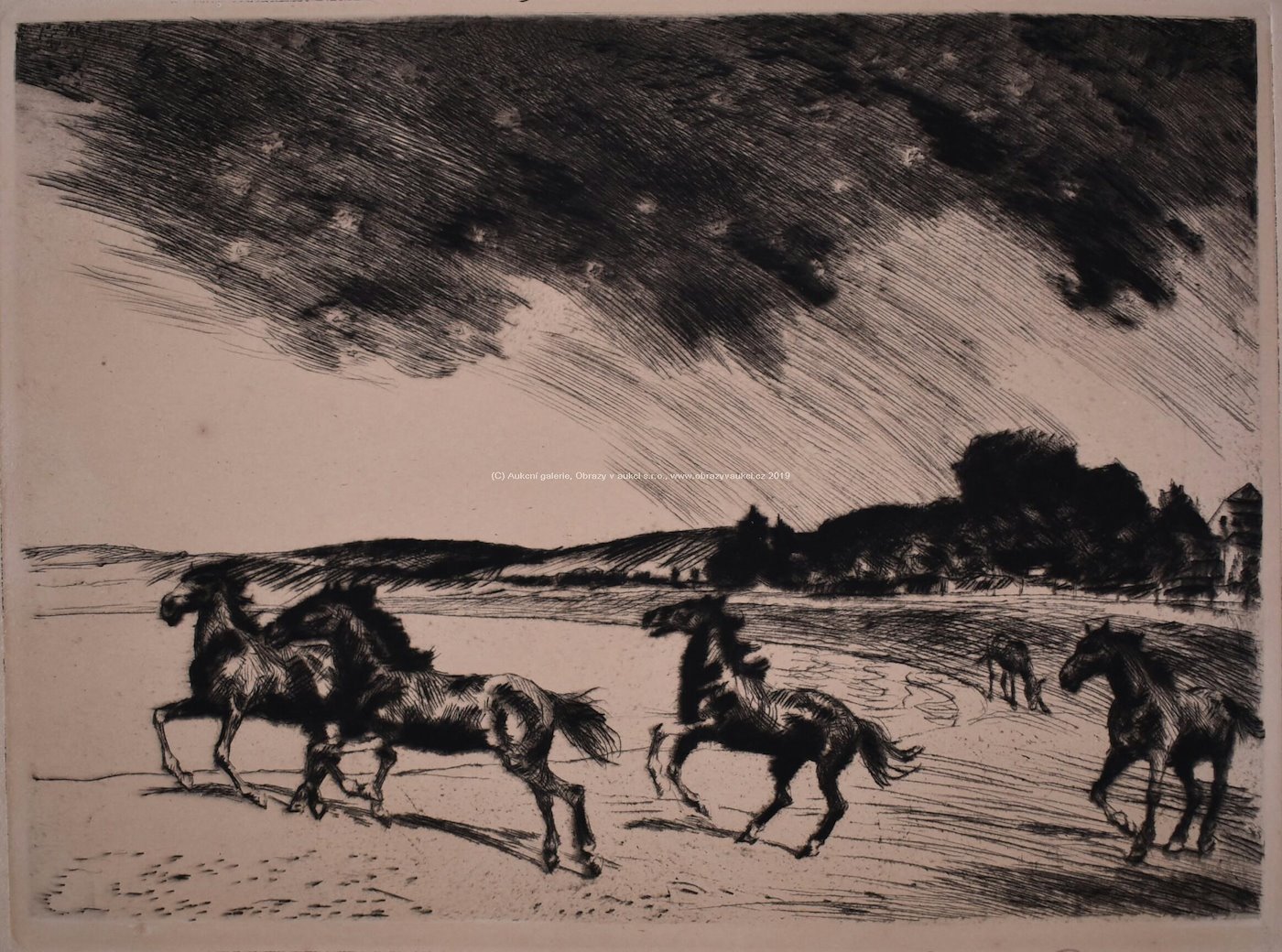 Philipp Frank - Koně na pláži