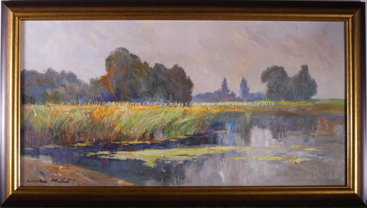 Karel Hodr - Rákosí u rybníka
