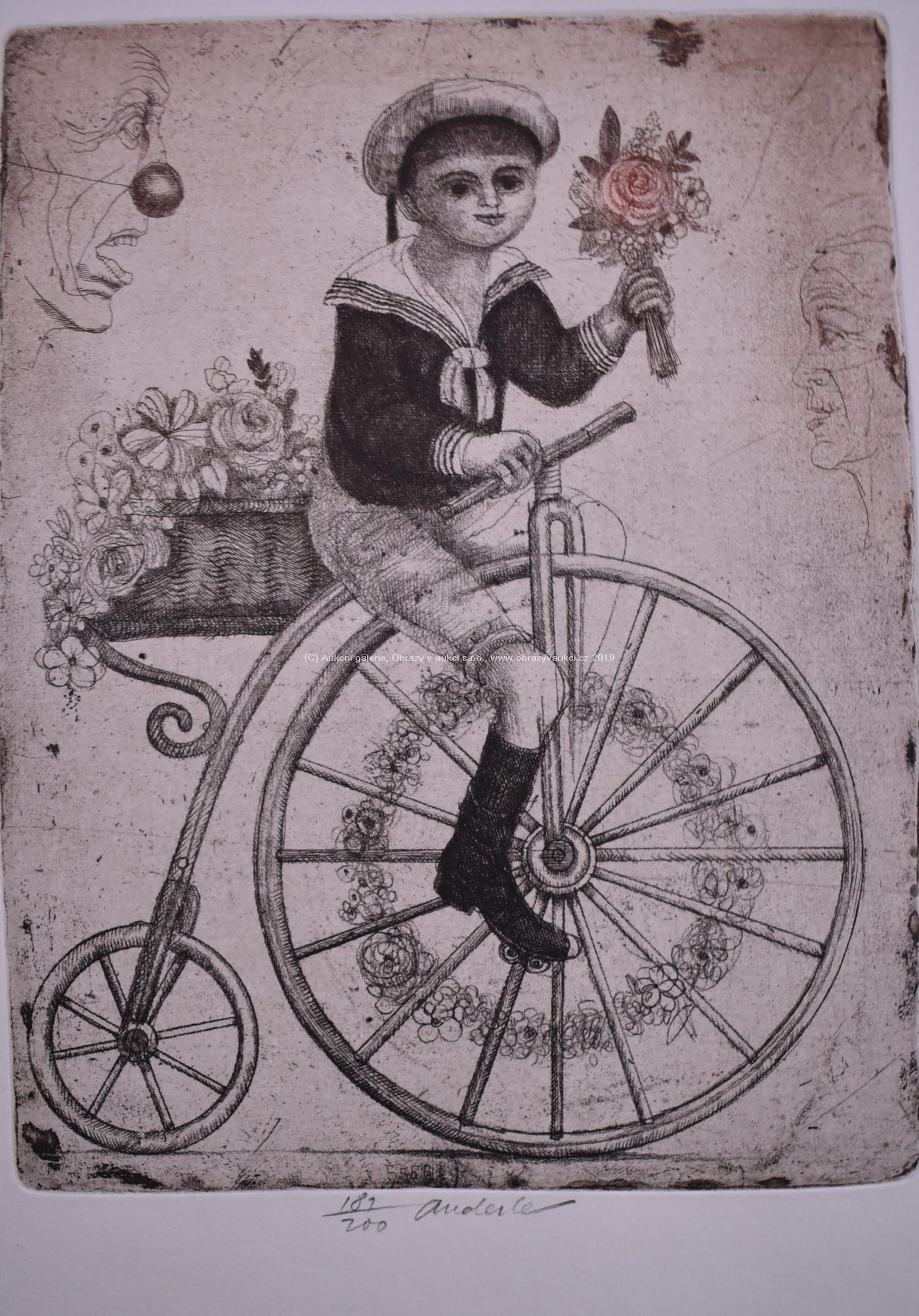 Anderle - Chlapec na kole