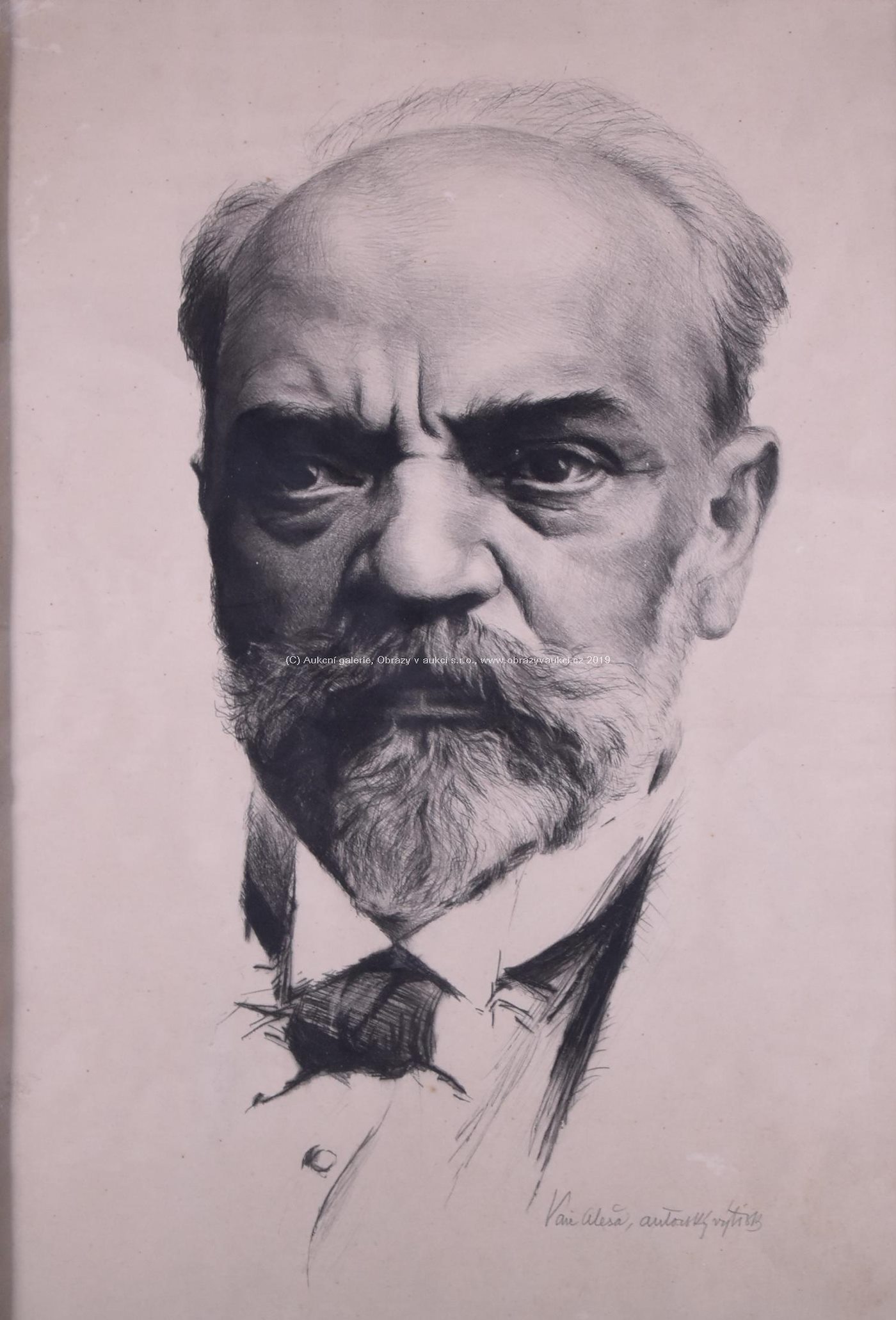 Aleša Waic - Bedřich Smetana a Antonín Dvořák