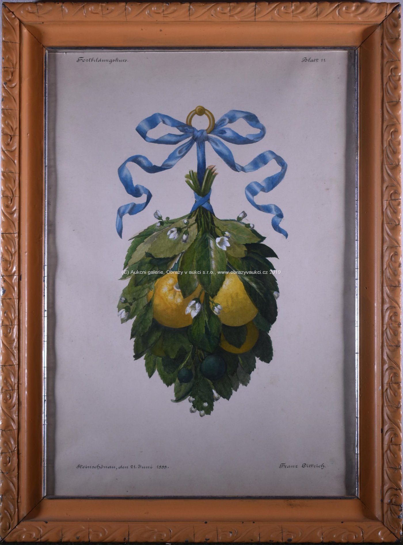 Franz Dittrich - Zátiší s ovocem