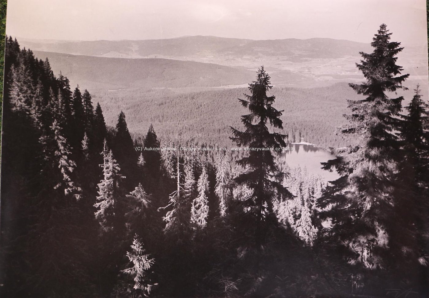 Zdenko Feyfar - Šumava