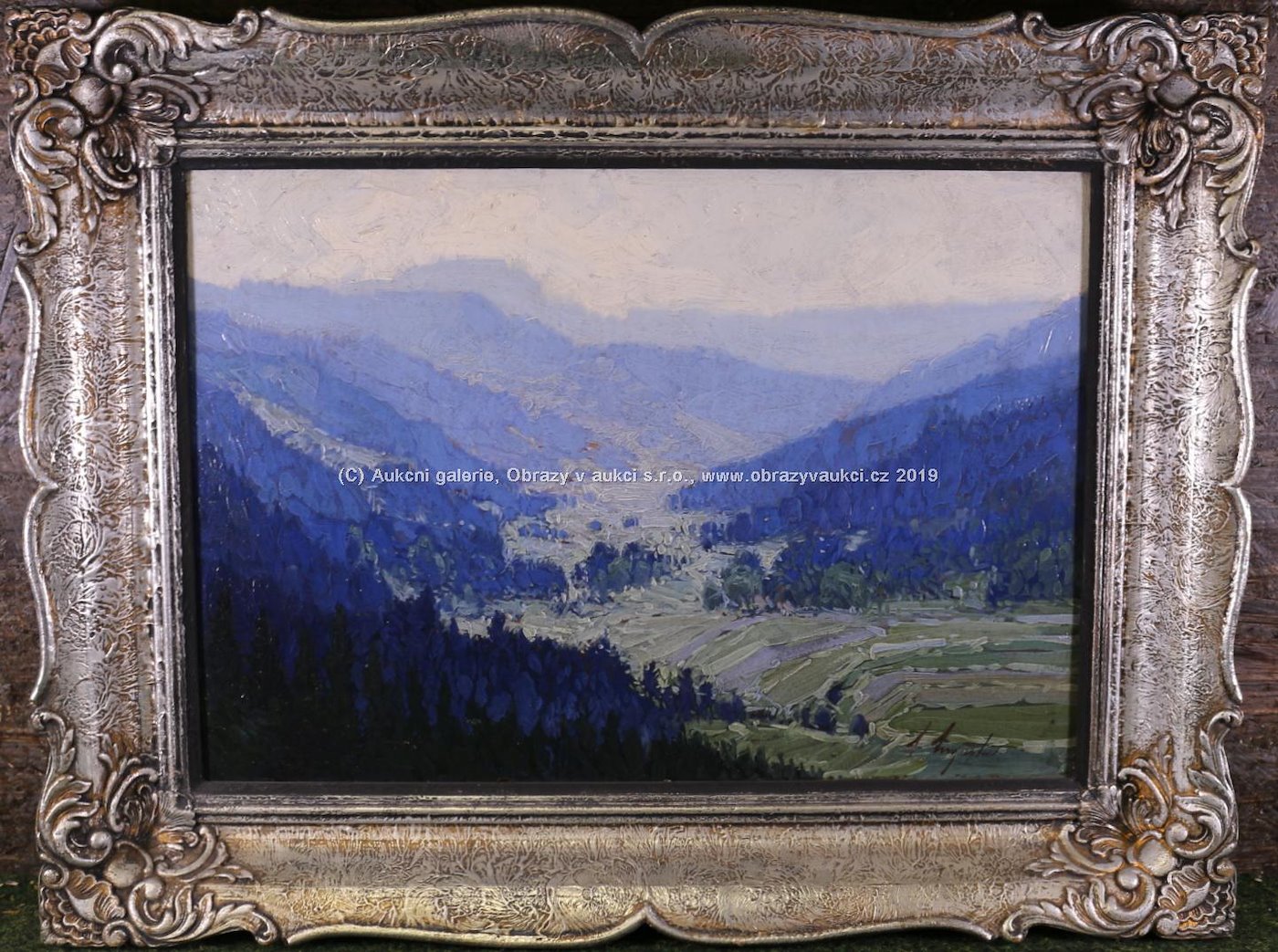 Antonín Augusta - Modré údolí