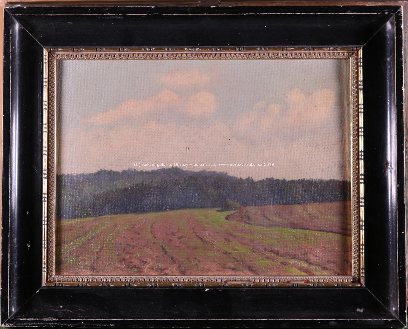 Alois Redl - Pohled do polí