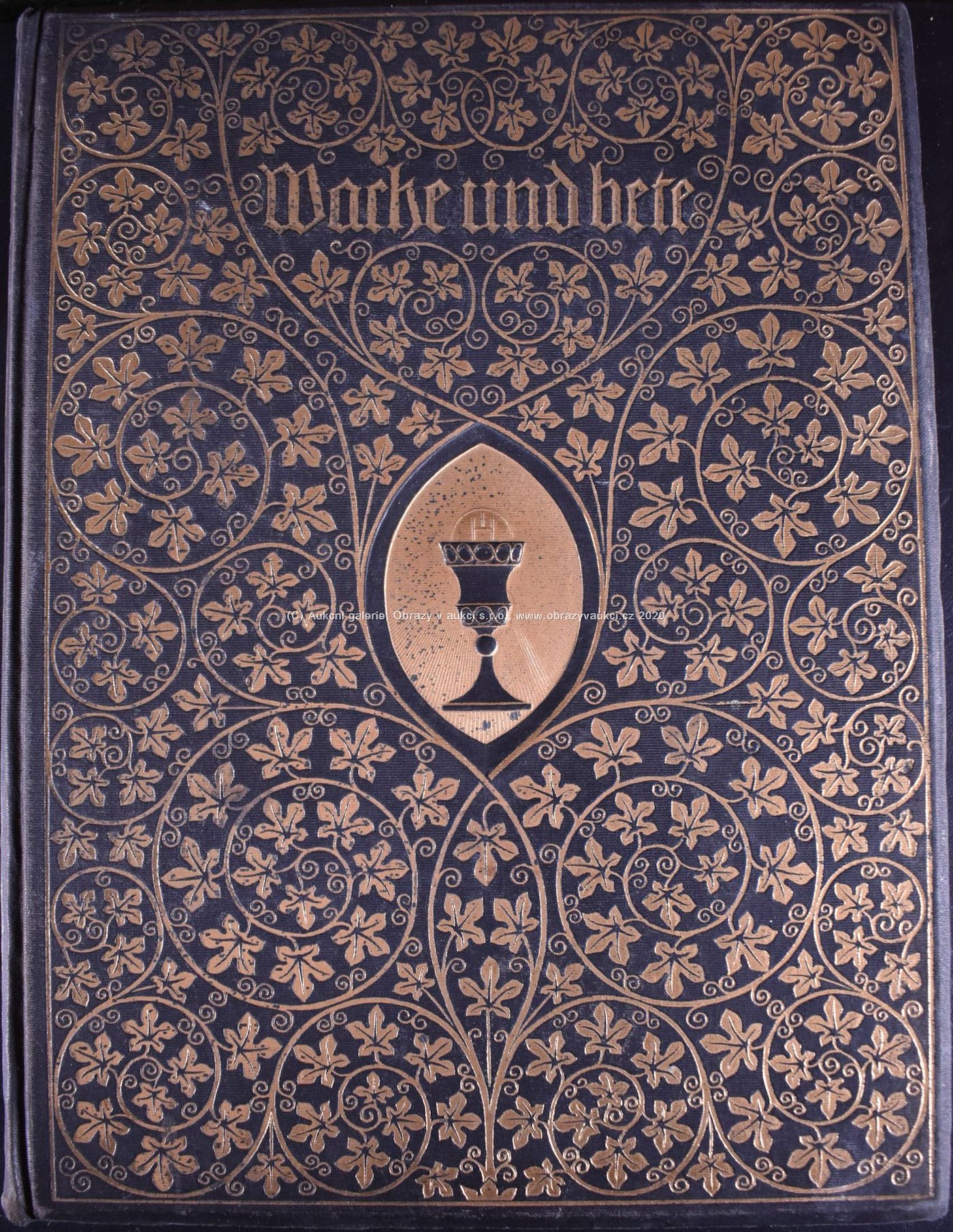 G.Ch. Dieffenbach, J.C. Heer, W. Kaden, A. Ceresole, E. Yung - Soubor dvou knih: Wache und Bete, Album der Schweiz