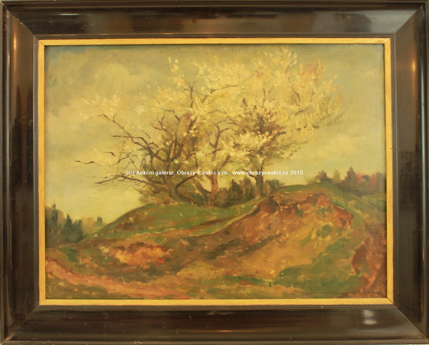 Antonín Balcar - Kvetoucí stromy