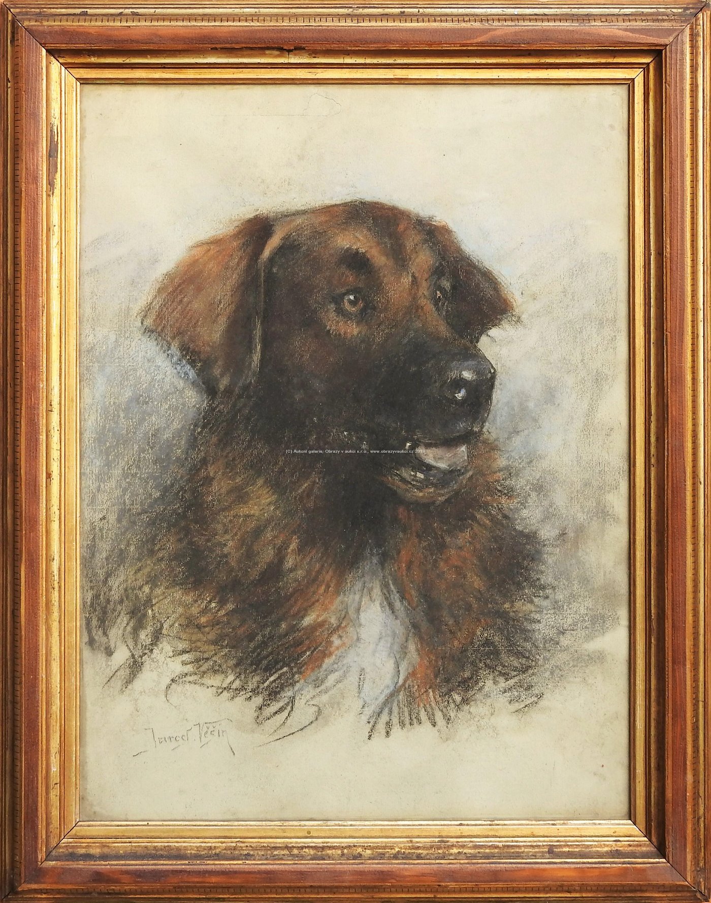 Jaroslav Věšín - Portrét psa
