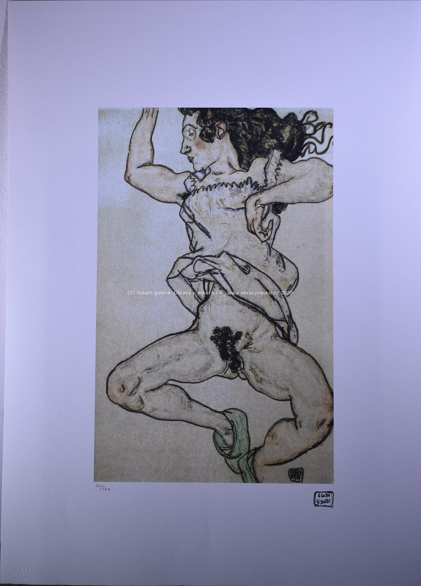 Egon Schiele - Akt v zelených trepkách