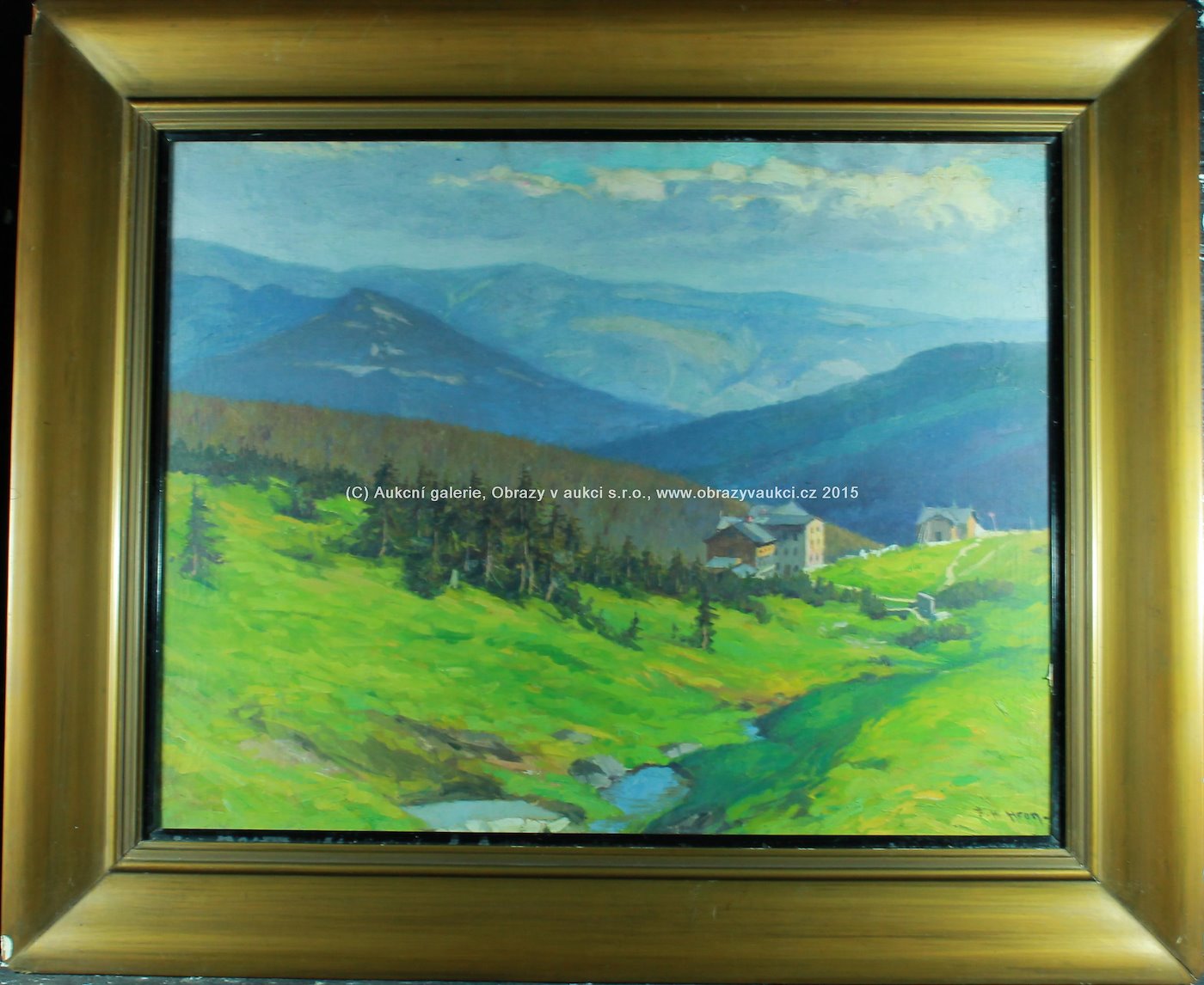 František Karel Hron - Horské údolí