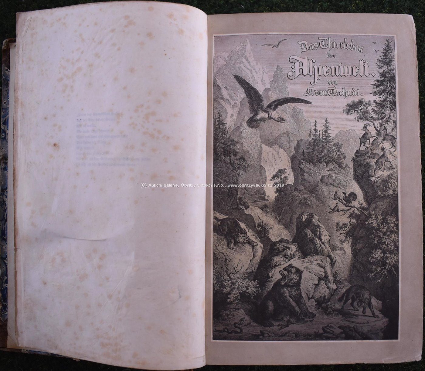 von Tschudi, Brendel, Altum - Ilustrované knihy o zvířatech z 2. pol. 19. stol.