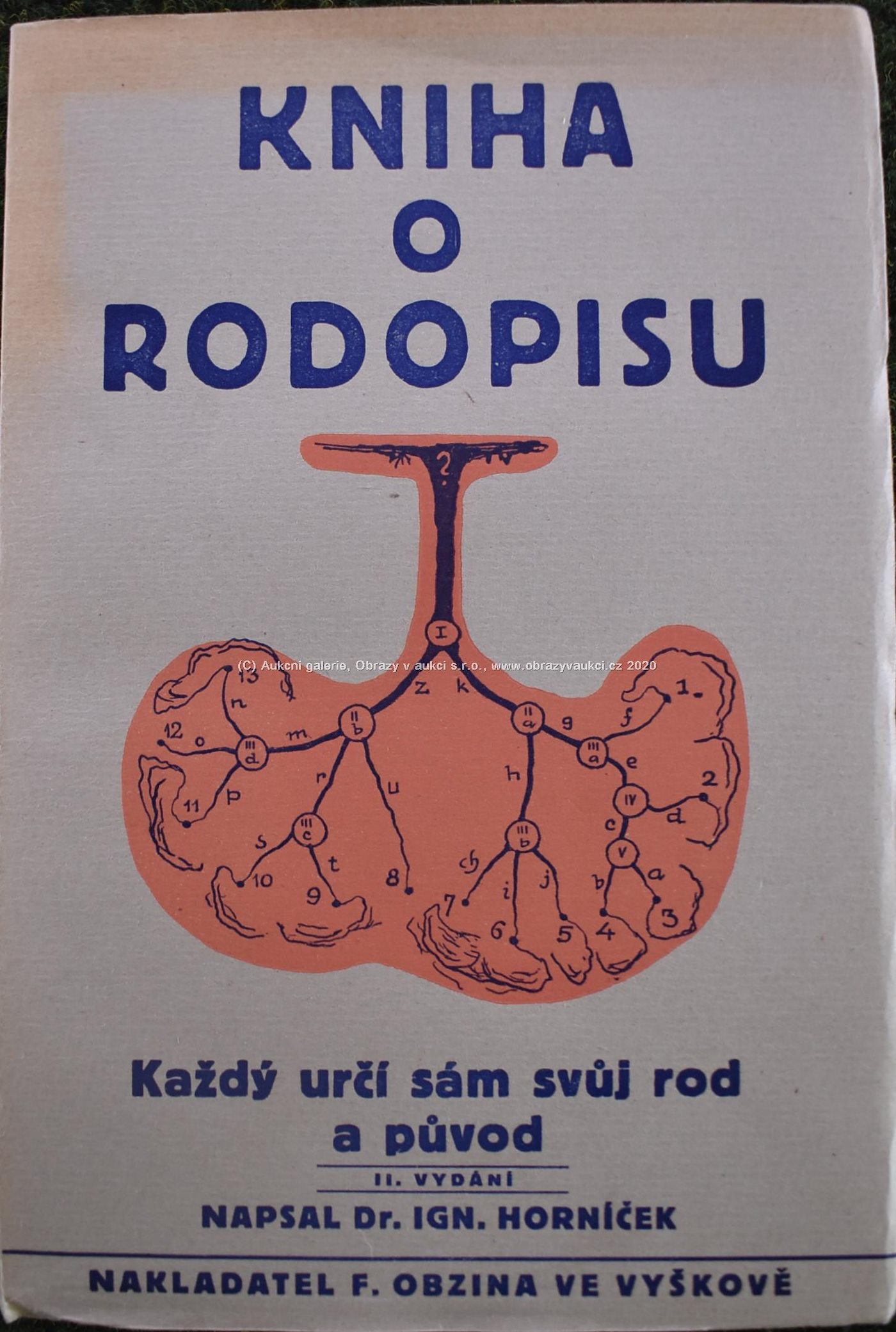 Dr. Ignác Horníček - Kniha o rodopisu