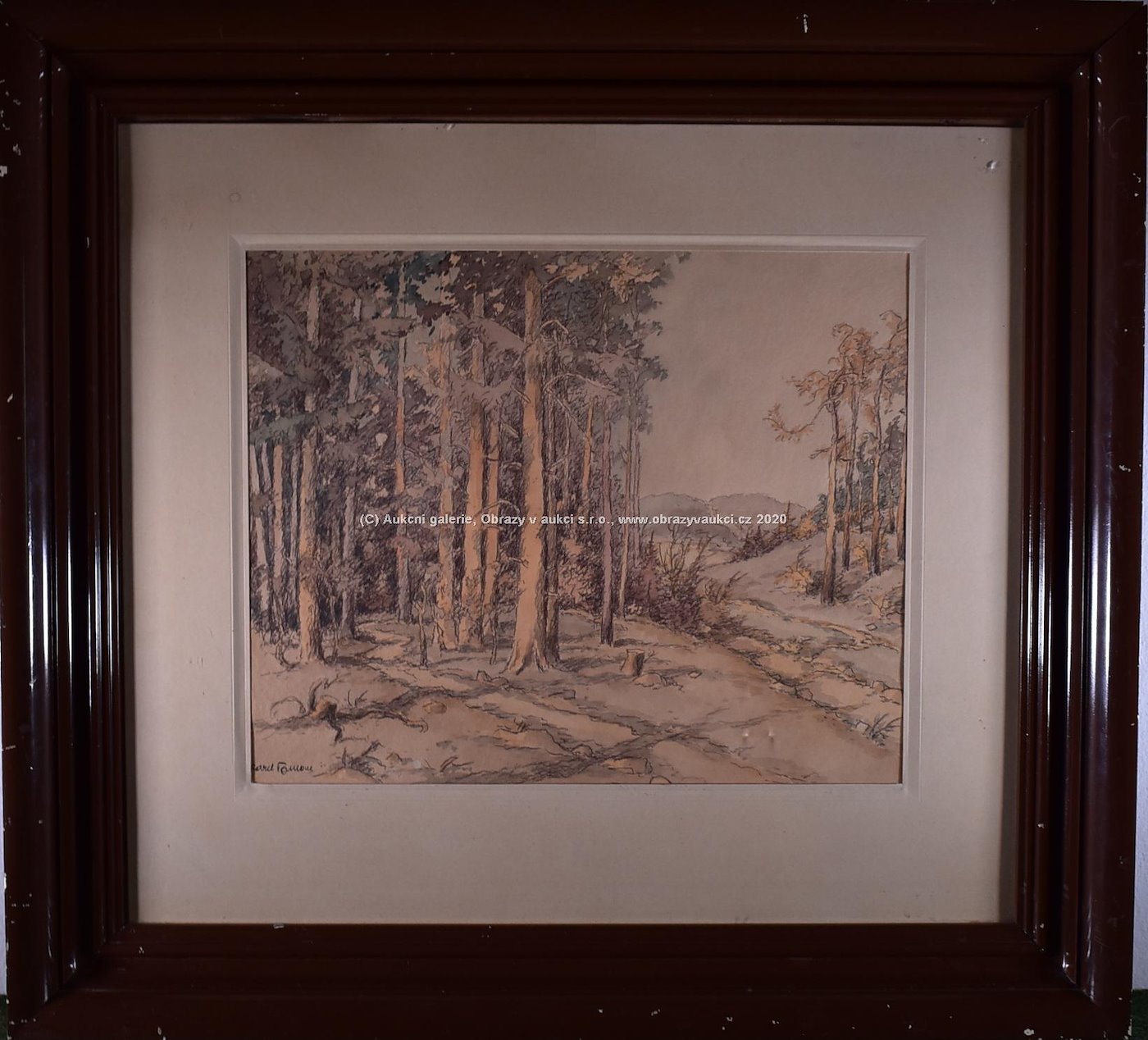 Karel Toman - Pohled k lesu