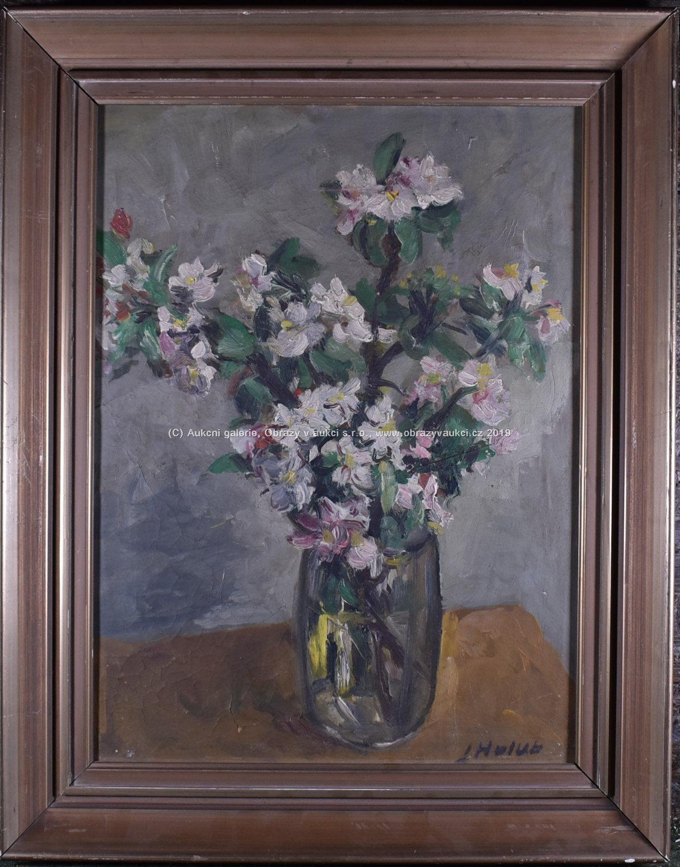 Josef Holub - Jabloňové květy