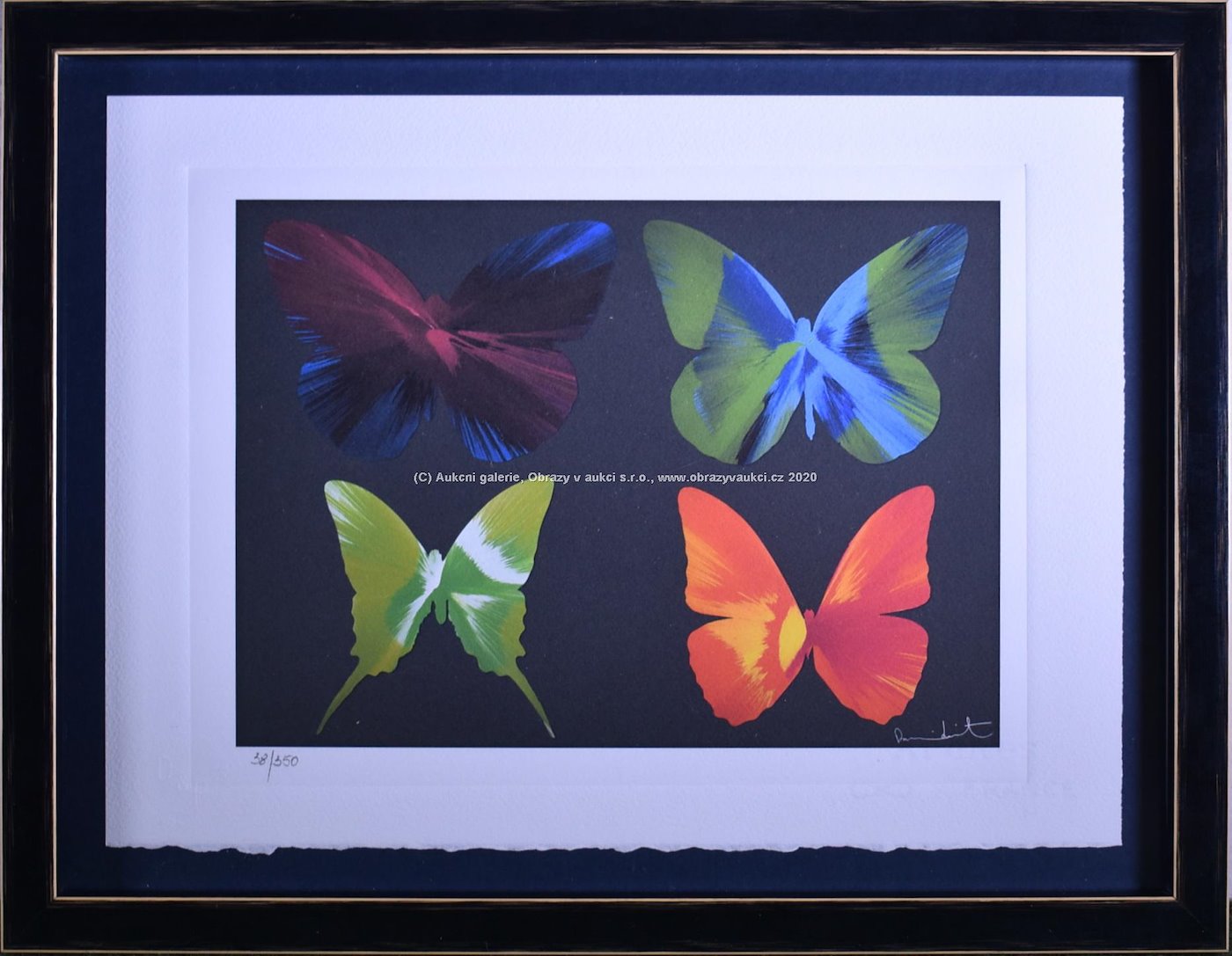 Damien Hirst - Beautiful butterflies