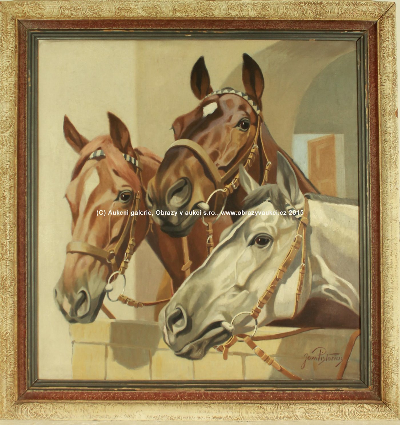 Jan Pistorius - Tři koně