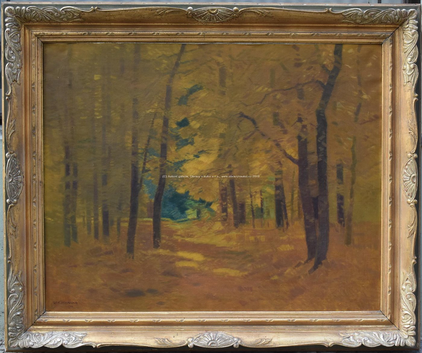 Roman Havelka - Podzimní les