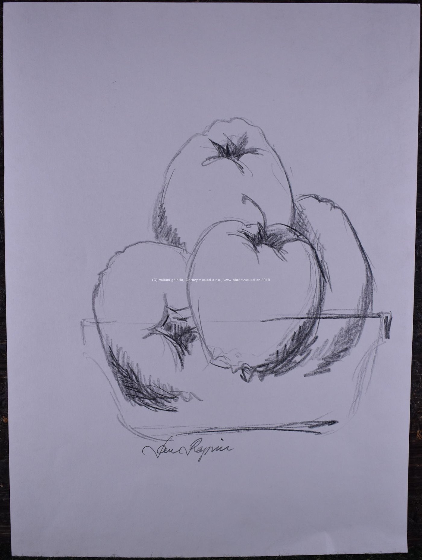 Jan Rapin - Zátiší s jablky