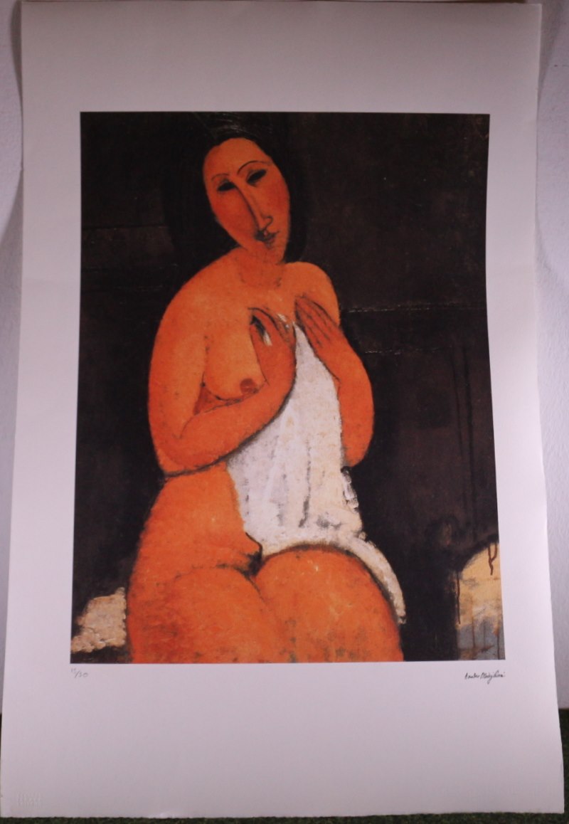 Amedeo Modigliani - Akt s osuškou