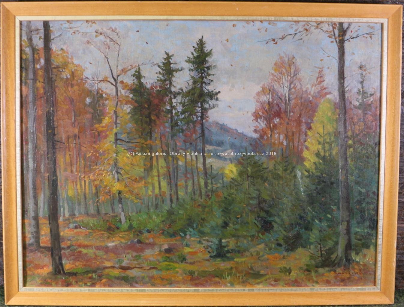 Pavel Bačovský - Podzimní les
