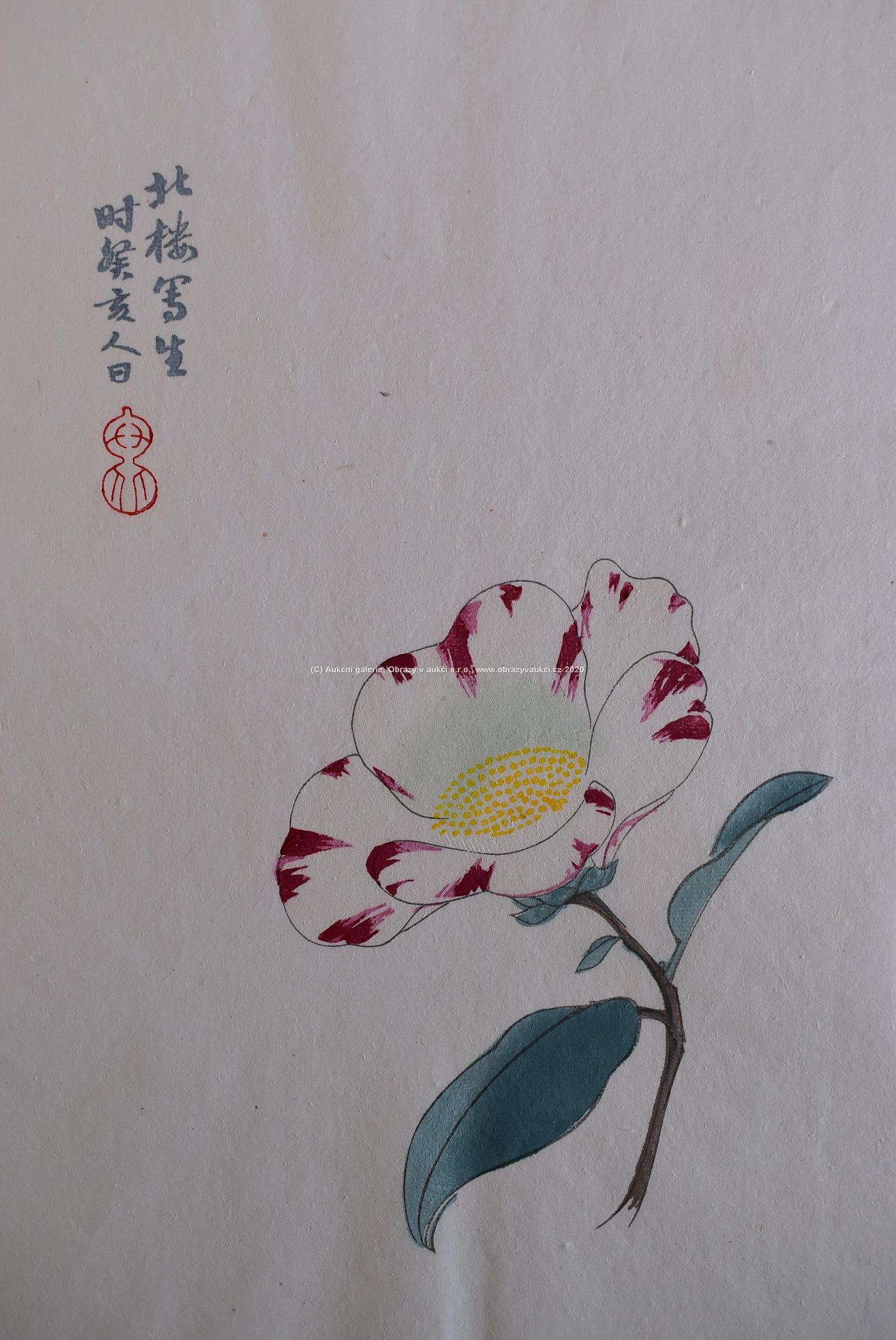 Bai-shi Qi (Čchi Paj-š´) - Květ