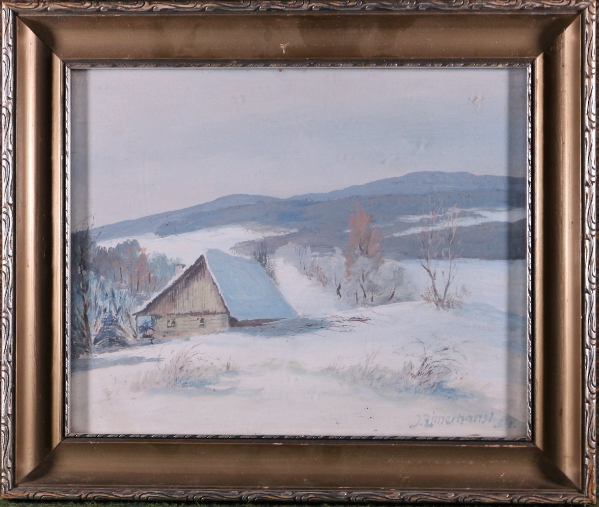 J. Zimerhanzl - Samota v zimě