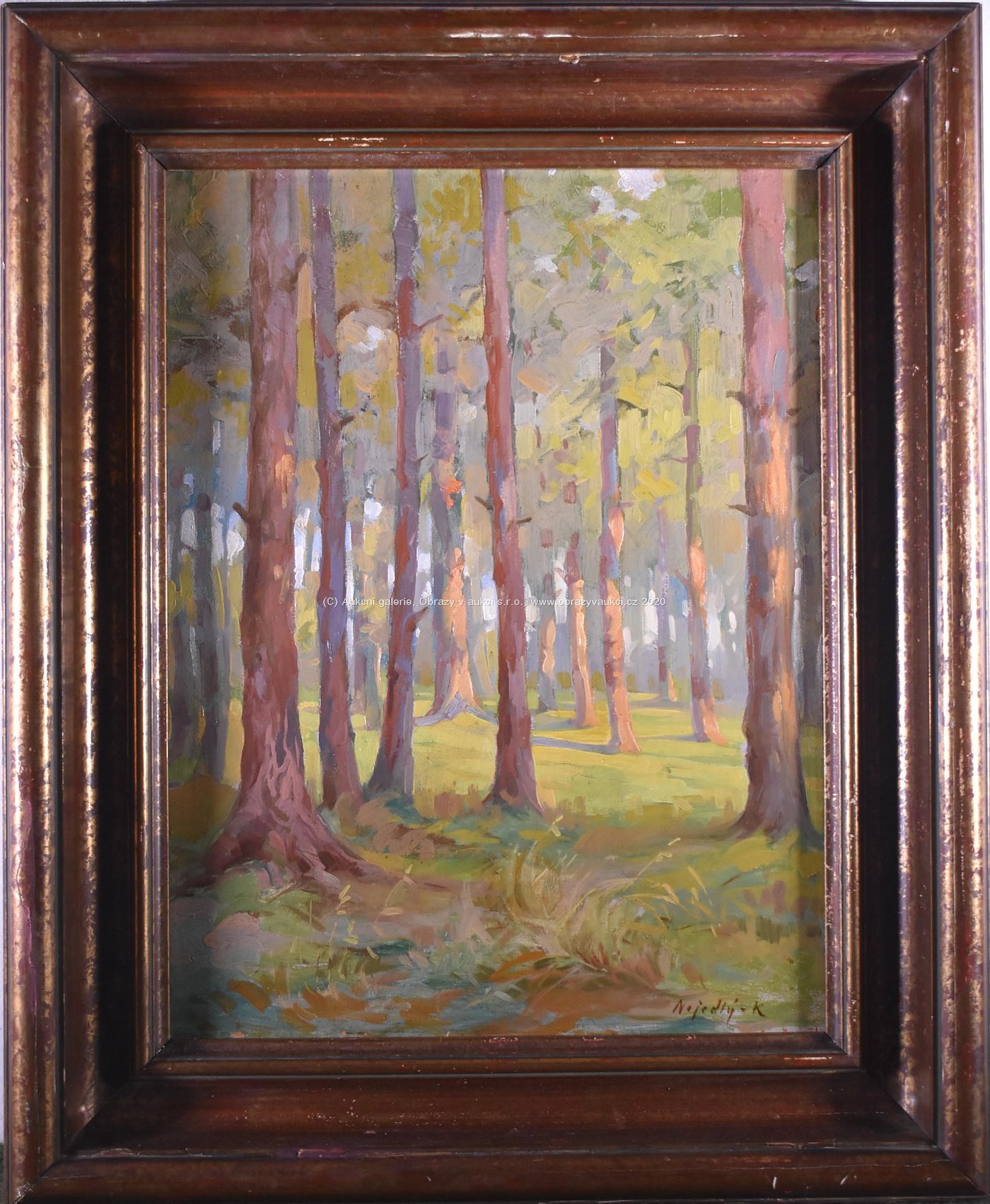 Karel Nejedlý - Prosluněný les