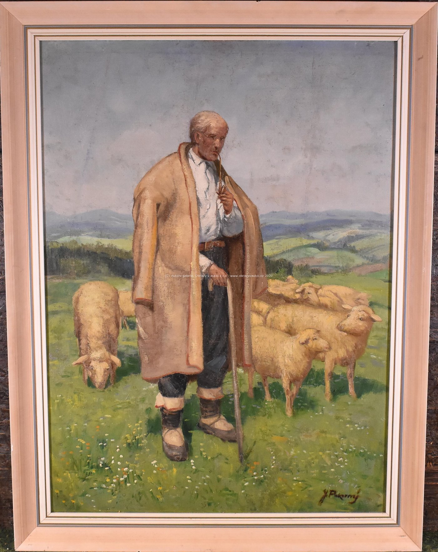 Josef Pokorný - Bača s ovcemi