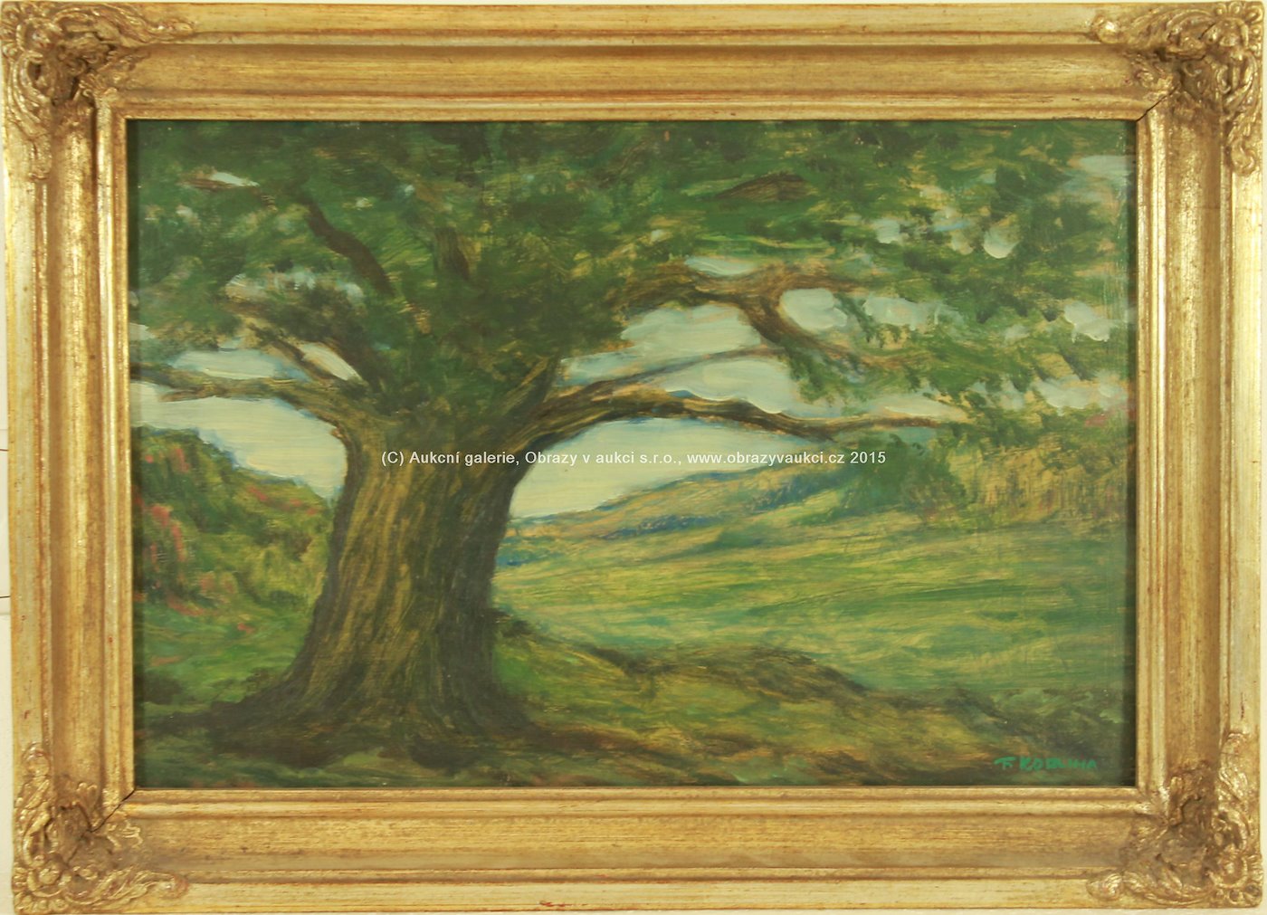 František Kobliha - Osamělý strom