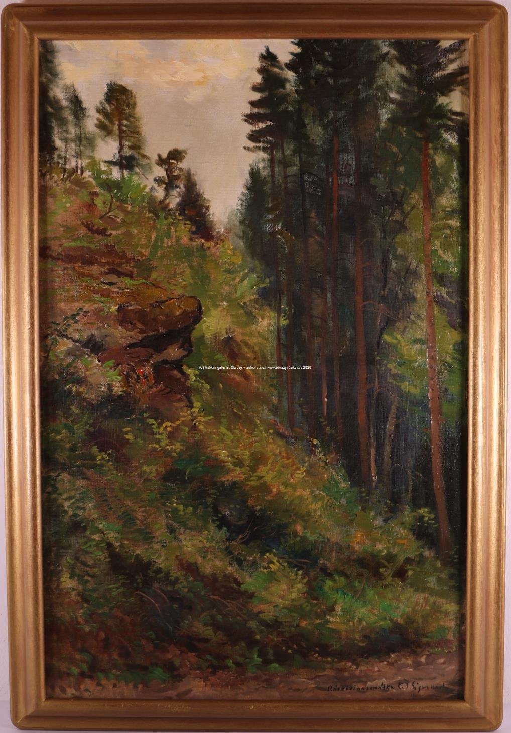 Karel Jan Sigmund - Skála na kraji lesa