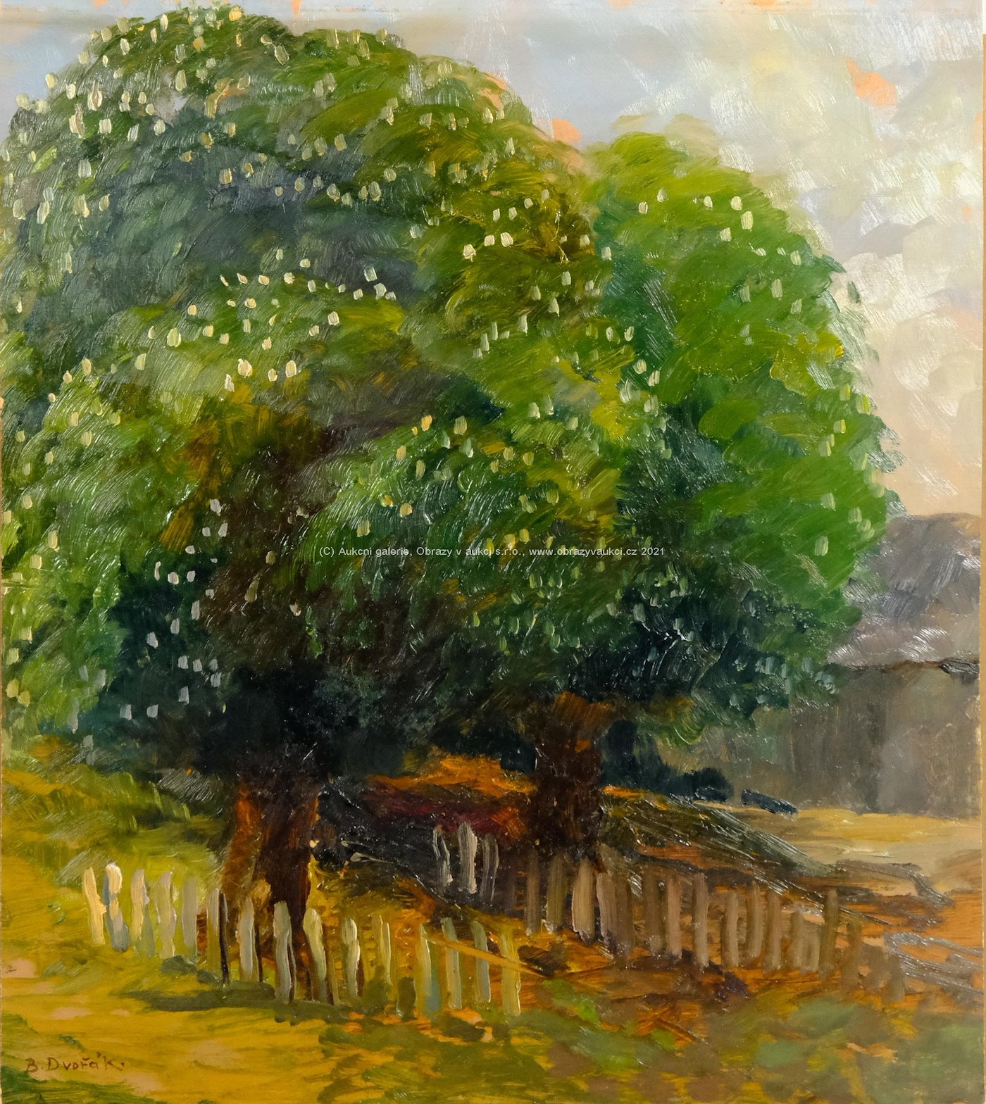 Bohuslav Dvořák - Košaté stromy