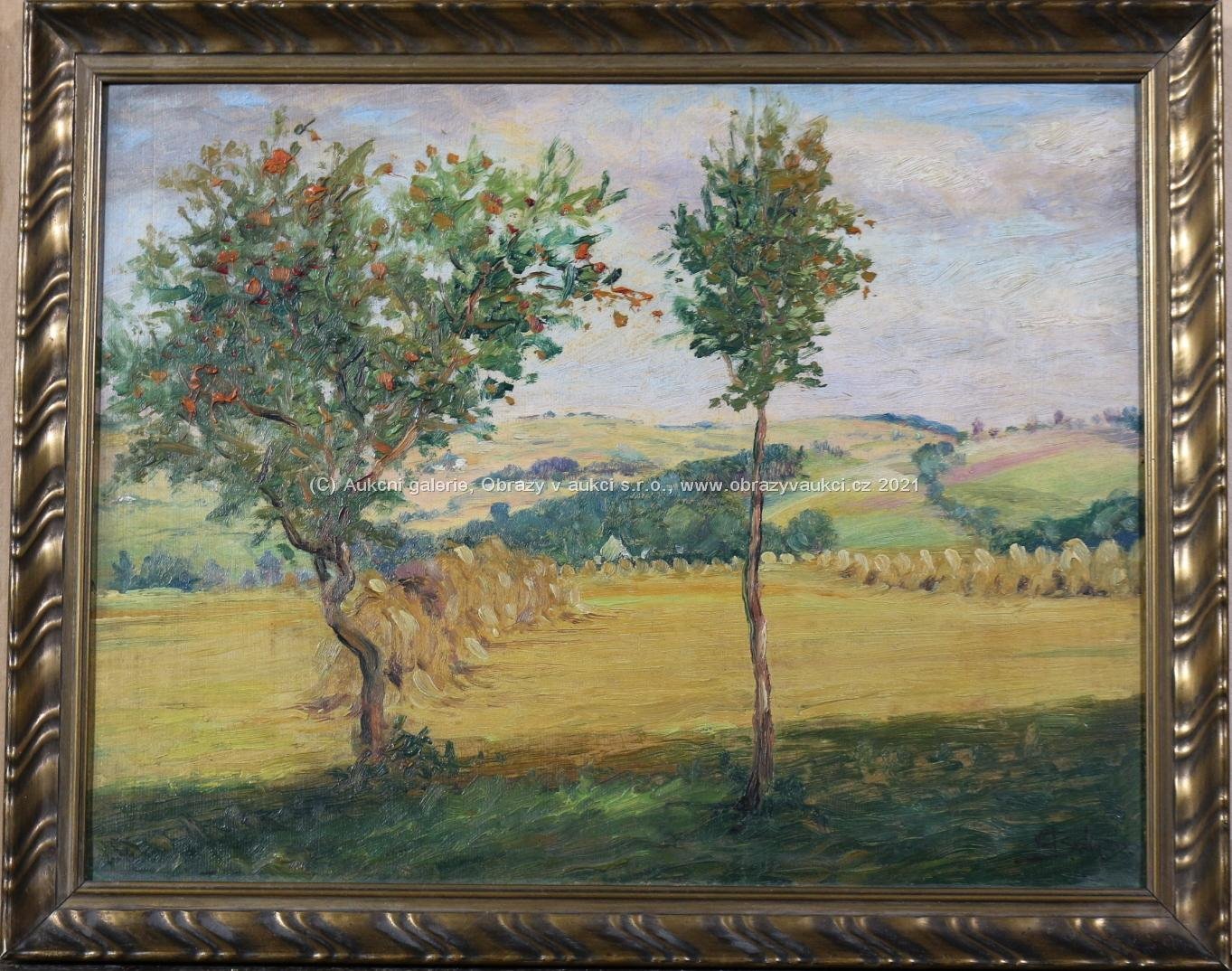 Václav Skála - Kvetoucí stromy