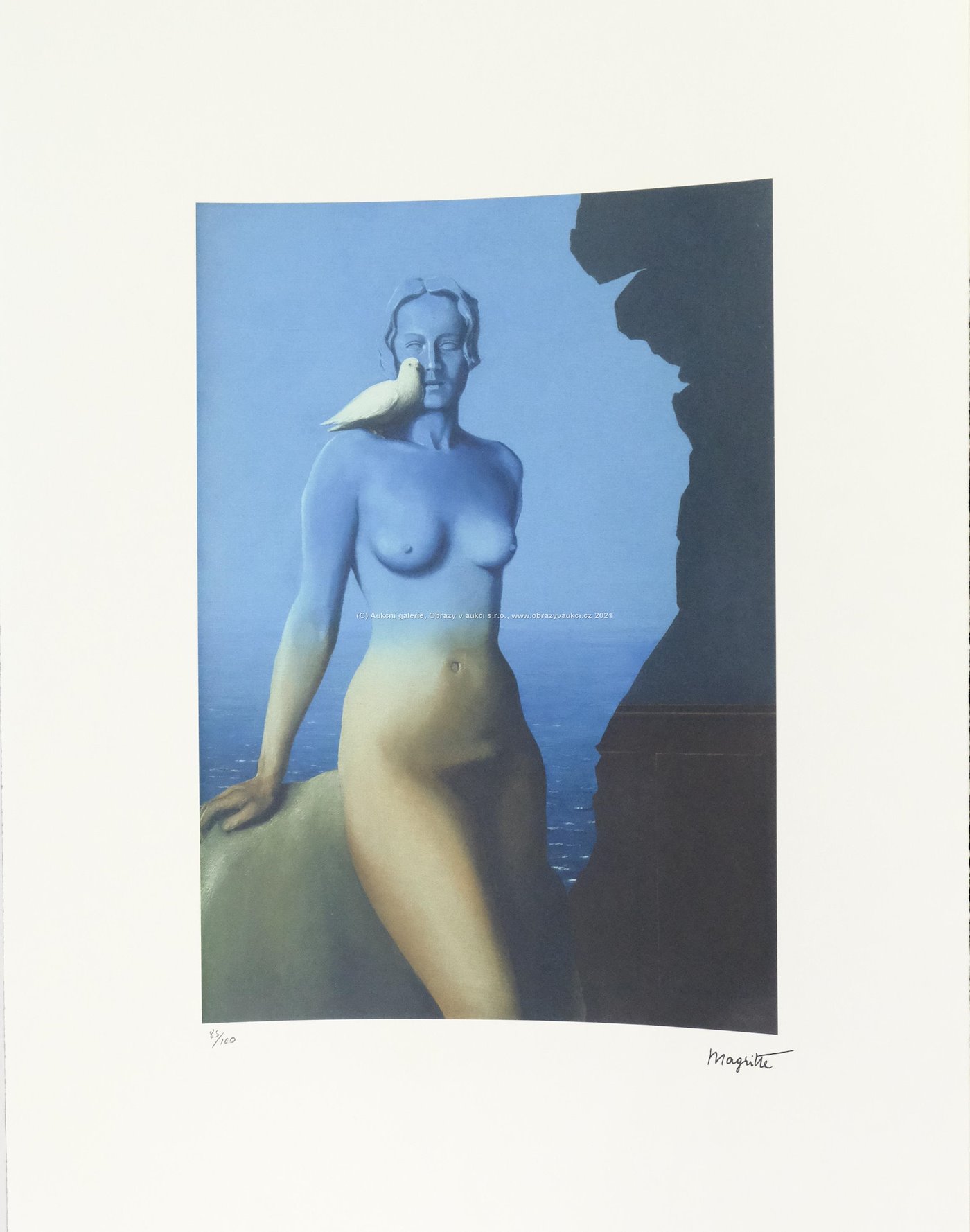 René Magritte - Holubice