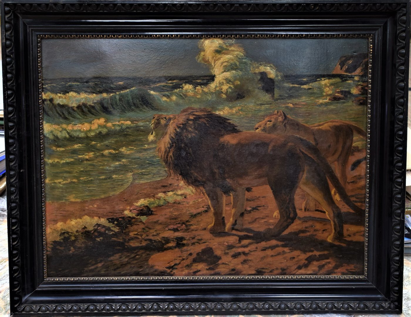 nesignováno - Namibijští lvi u moře 