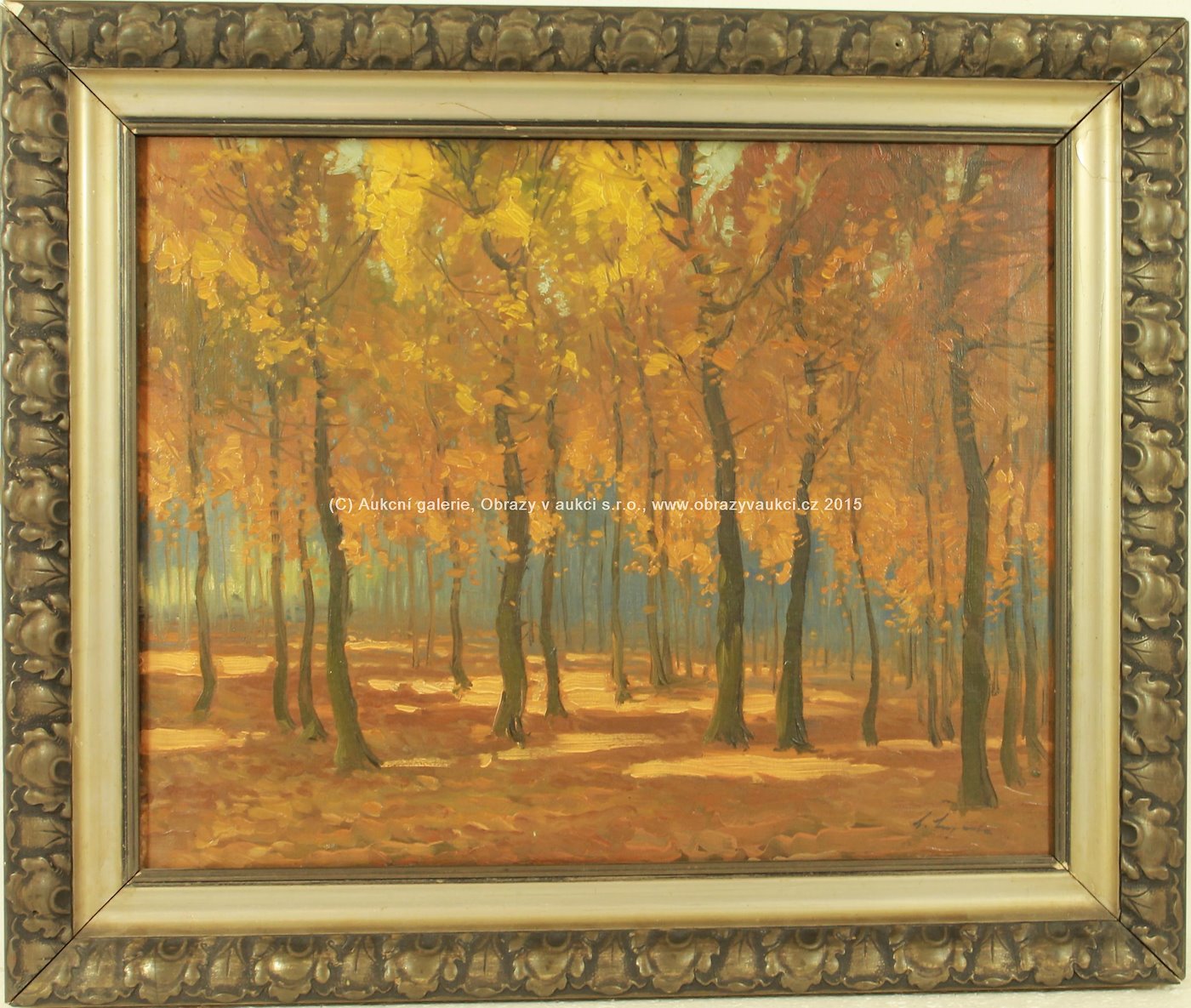 Antonín Augusta - Podzimní les