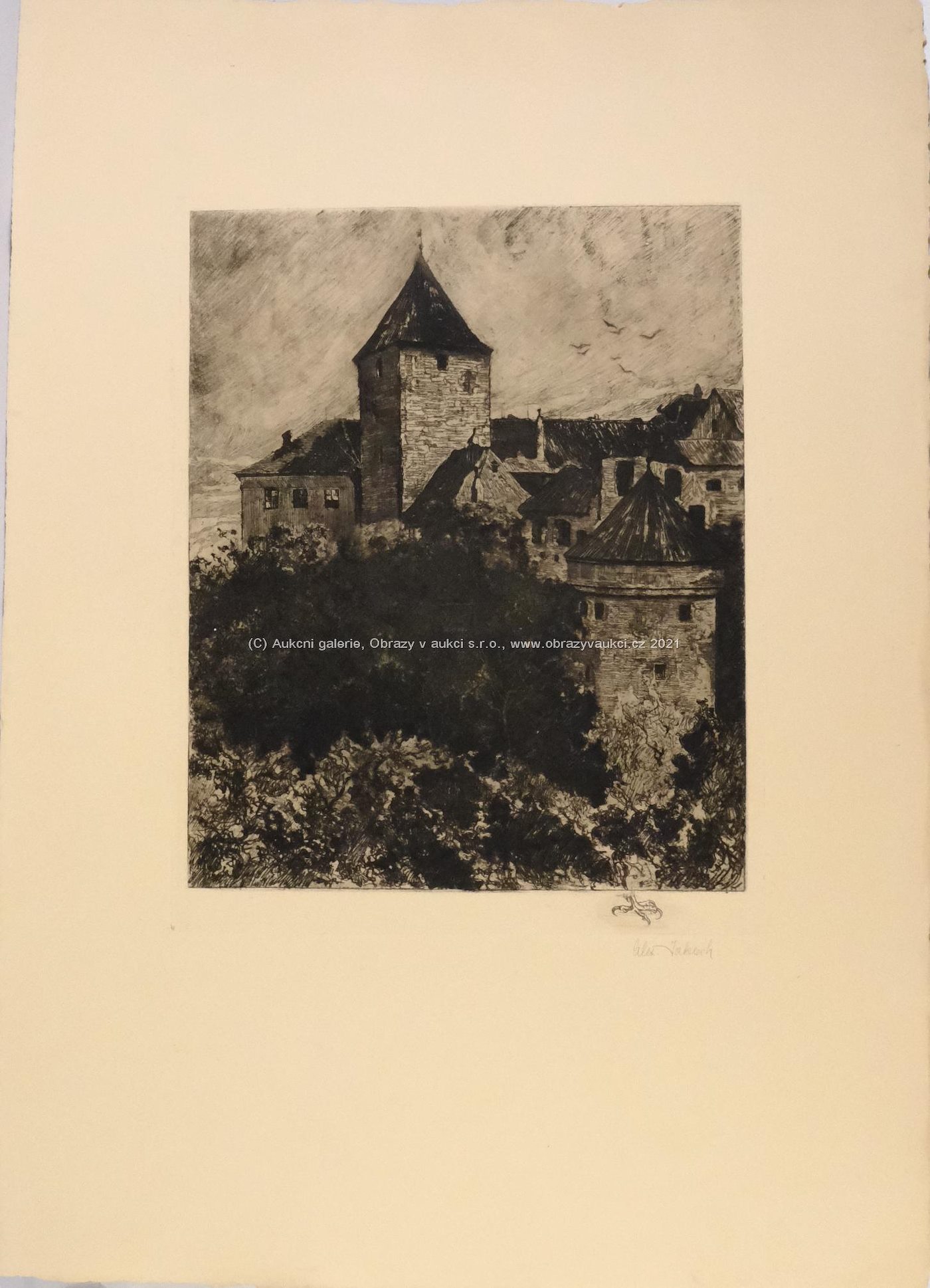 Alexander Jakesch - Pohled na hrad