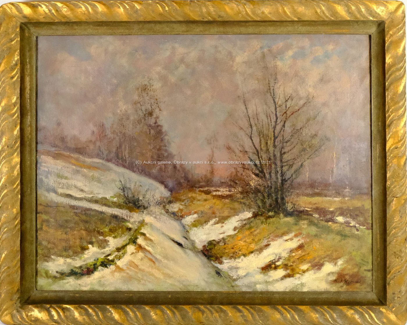 Karel Jan Sigmund - Poslední sníh